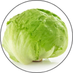 Lettuce