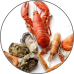 Shrimps & Lobsters & Crabs